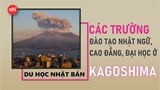 Danh sách các trường Nhật ngữ, Đại học, Cao đẳng ở tỉnh Kagoshima