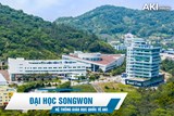Trường đại học Songwon Hàn Quốc - 송원대학교