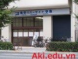 Học viện Tokyo Riverside - 東京リバーサイド学園